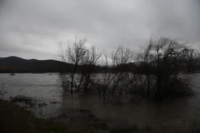 DSC_5793 (Large).JPG